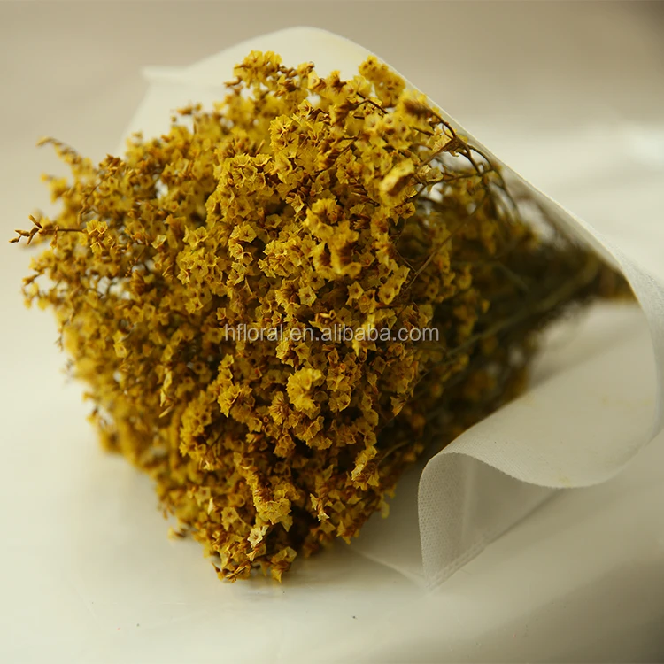 Yunnan High Quality China Online Shopping Preserved Eternal Fresh Cut Flowers Limonium Plant For Bouquet home table decoration