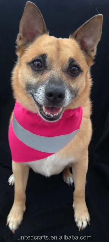 PERSONALISED yellow LARGE Hi Viz Reflective Dog Bandana Slip On Collar