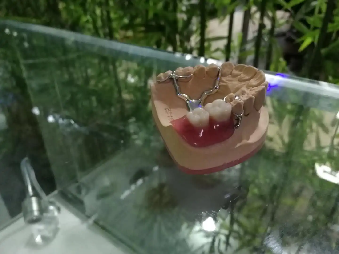 
3d printer dental lab flexible denture 