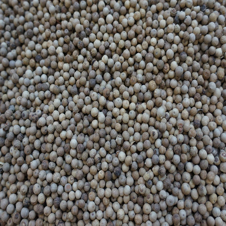 
Supplier High Quality Round White Pepper 