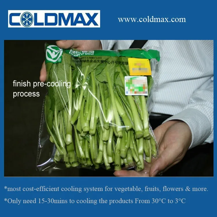 2020 Coldmax  Vacuum Cooling System With CE  Certification For Parsley ( KMS-1000-4P )