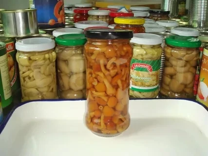 Low price canned mushroom nameko from China