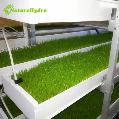 NFT Hydroponic Fodder Channel for Hydroponic Fodder Machine