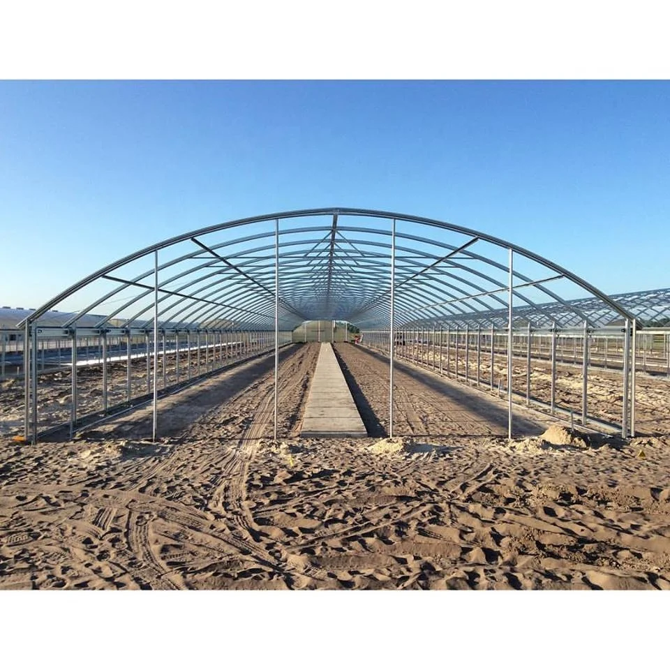 indoor vertical hydroponic systems gutter connect Poly film cover metal greenhouse tower garden vertical farming