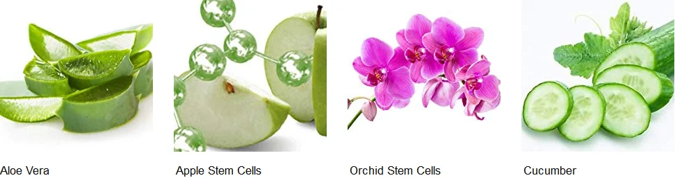 OEM Pure Natural Organic Soothe Moisturizing Aloe Vera Gel