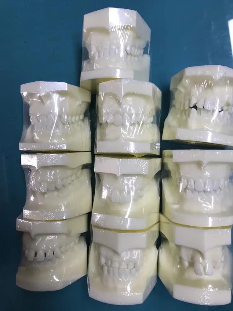 Different malocclusion and occlusion classification dental model 10 kinds orthodontic practice model