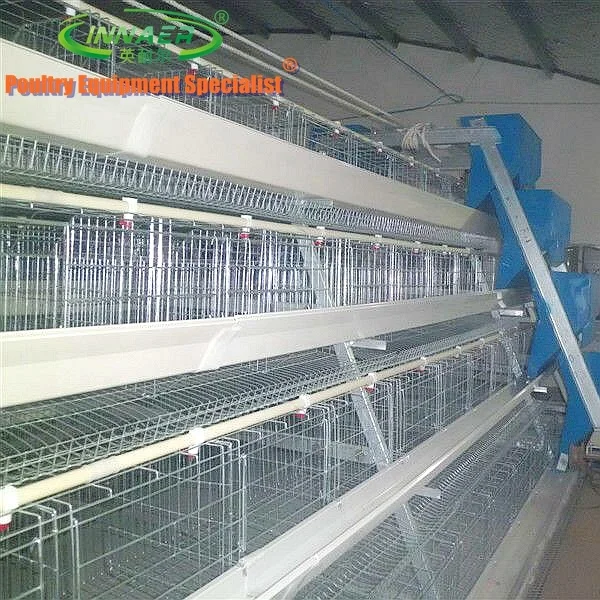 Automatic chicken cage for chicken farm