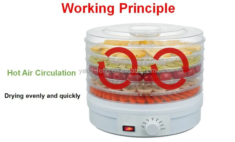 Professional electric durable mini vegetable  fruit dehydrator dryer