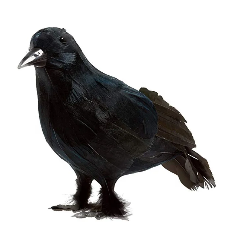 Ravens with Feather Wings Scary Standing Flying Birds Realistic Feathered Black Crows