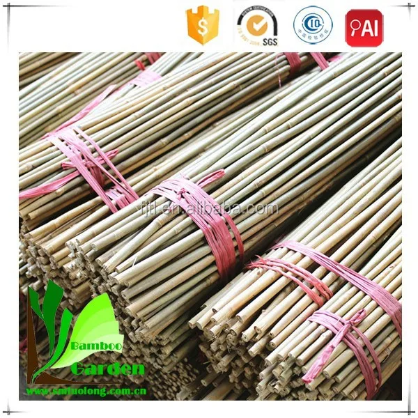 Iron Dry Bamboo Poles