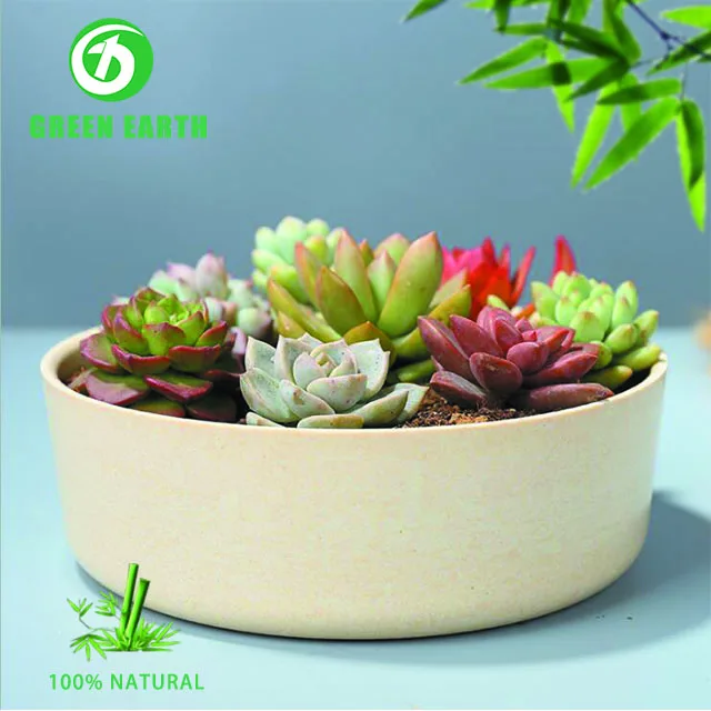 
Promotional compostable biodegradable green flower garden pot in bamboo fiber 