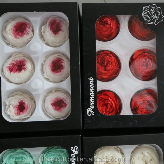 Promotion preserved austin roses stabilized austin rose at discount