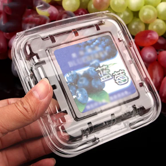 Plastic 125g Disposable Strawberry Blueberry Clamshell Packaging