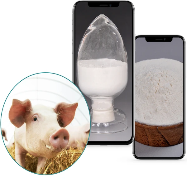 Желчь кислоты для свиной фермы, способствует росту и развитию органов