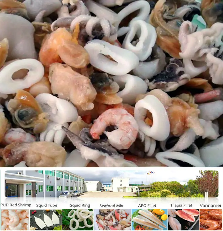 Seafood Export Iqfy frozen mix of sea food