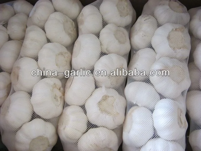 
2021 Normal White Fresh Garlic from Jining Fenduni Foodstuff Co., Ltd 