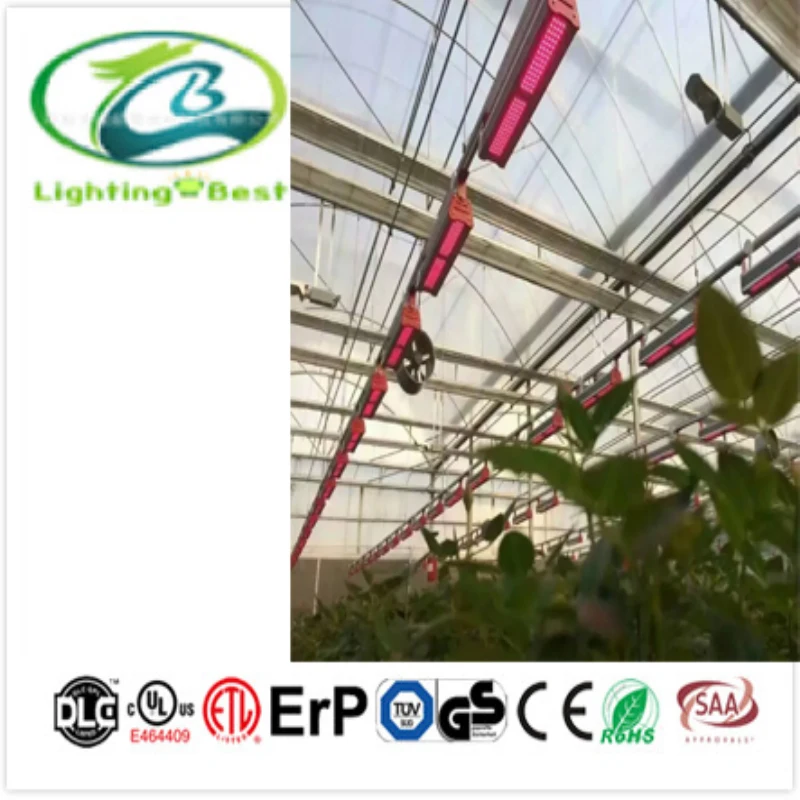 
full spectrum led linear grow lights horticulture lighting greenhouse waterproof 200W LED grow lights for indoor planting 