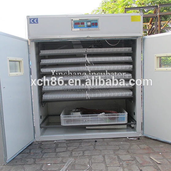 Quail egg incubator supplier in malawi High Quality Quail Egg Incubator Supplier In Malawi