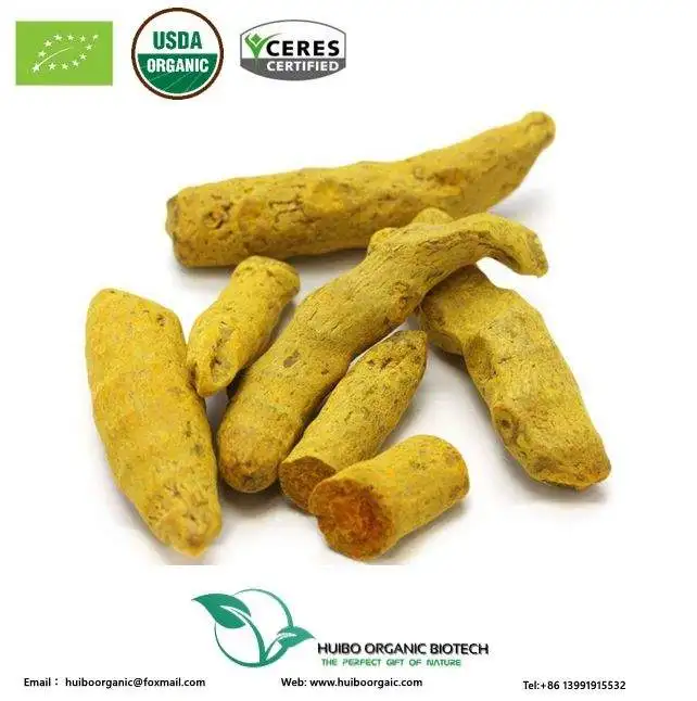 Best price of natural organic Curcumin powder / turmeric  powder