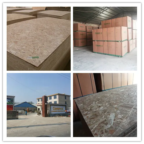 дешевой цене OSB-3 / ОСП-3 с хорошим качеством