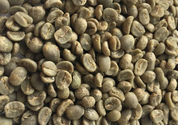 
Nature Green Coffee Bean - Arabica Grade-A 