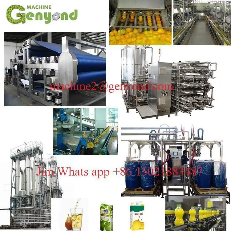 Chinese factory juice concentrate production line with price
