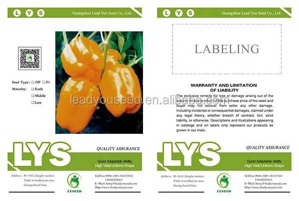 SP05 Chengxing no.2 orange hybrid bell pepper seeds, sweet pepper seeds for planting