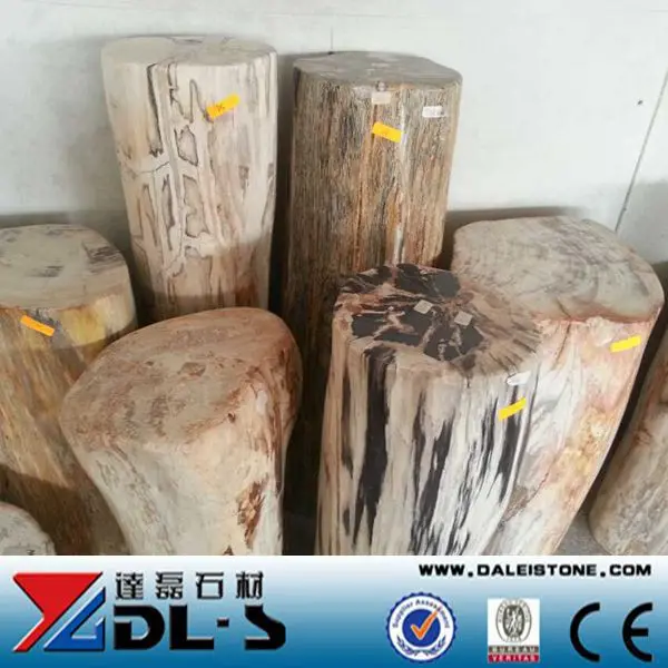 Petrified fossilzed wood stone high value luxury natural stone for collection