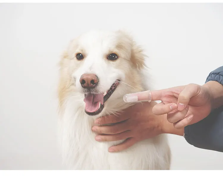 
Hot Selling Pet Finger Toothbrush Teeth Care Dog Brush for Puppy Small Dogs Cat Cleaning Supplies 