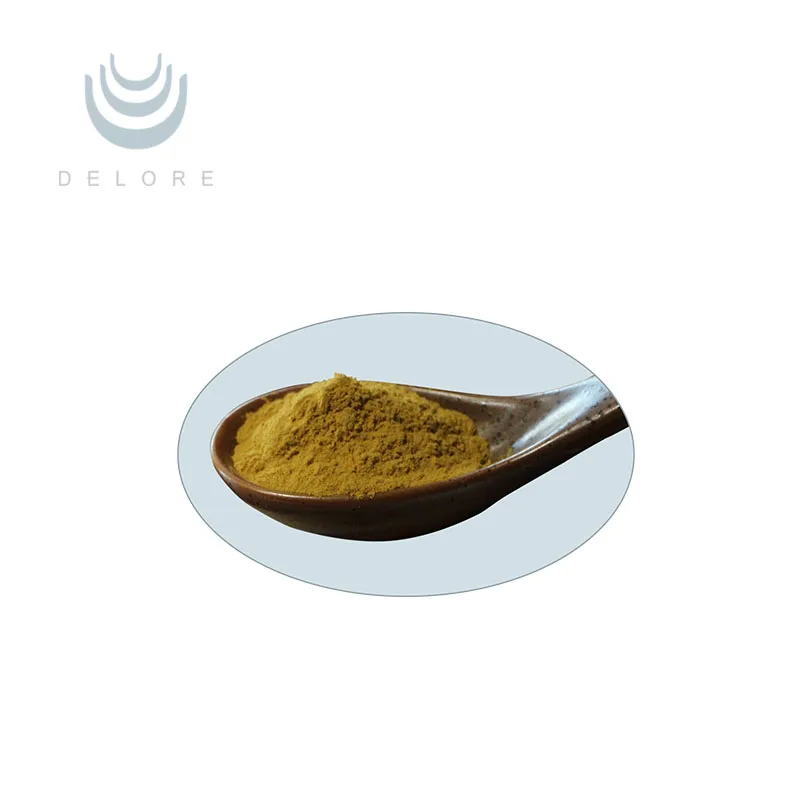 Rosemary Leaf Extract powder/liquid 15% Carnosic Acid for beef/meat product antioxidant