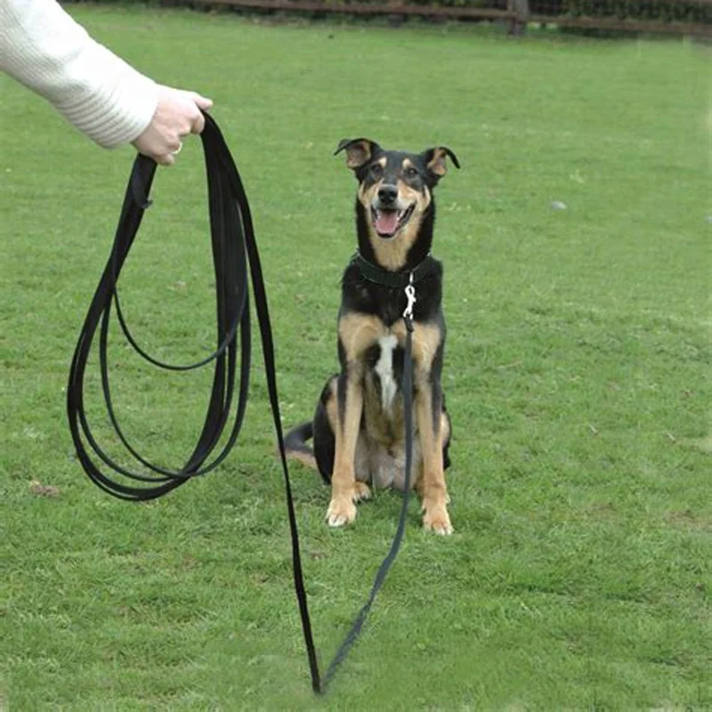 Top Seller Custom 5m Training Rubber Sustainable Dog Leash Long, Wholesale Silicone Dog Training Leash Dog Lead Making Supplies
