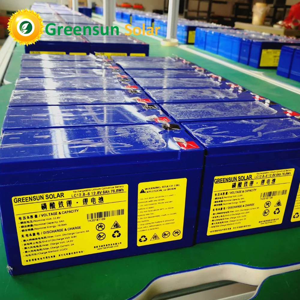 High Capacity LiFePO4 12V 24V 36V 48V 100AH lithium ion battery with BMS Monitoring System