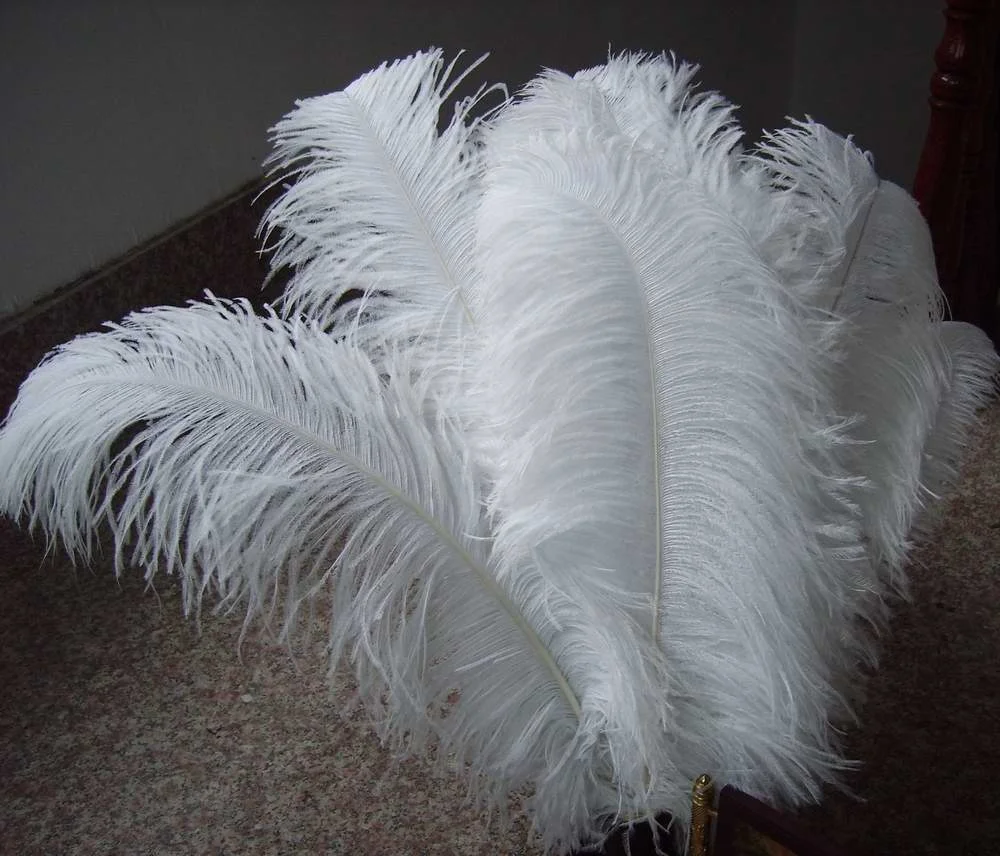 China Wholesale 60-65 cm Large Ostrich Plumes feather for  for wedding centerpiece decoration