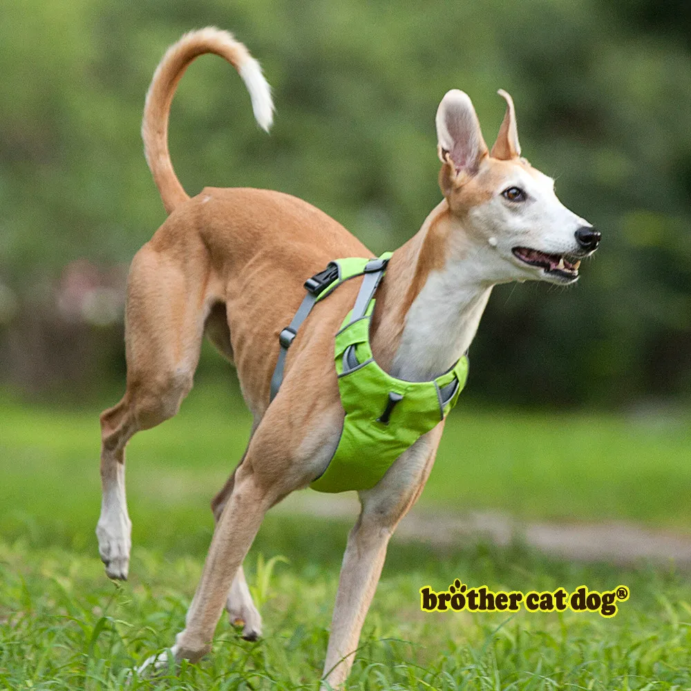 Adjustable heavy duty dog vest harness  Wholesales pet dog products  Reflective safety tactical dog harness