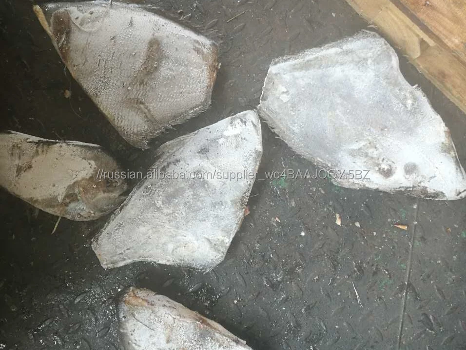 Замороженные Китайский Брама Брама рыбы тихоокеанского HGT брама