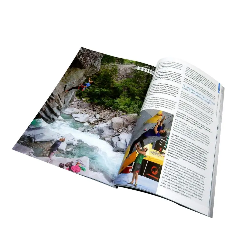 CMYK профессиональный дизайн пользовательский цвет a4 Журнал затраты на производство