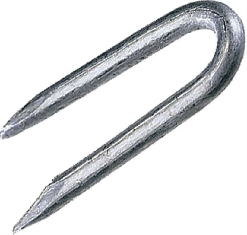 u nail ,u shape Fence Staple for attaching barbed wire to wooden fence posts