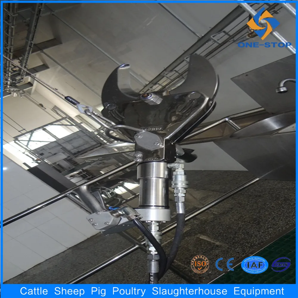 Cattle cow beef abattoir processing Horn And Hooves Removed Scissors