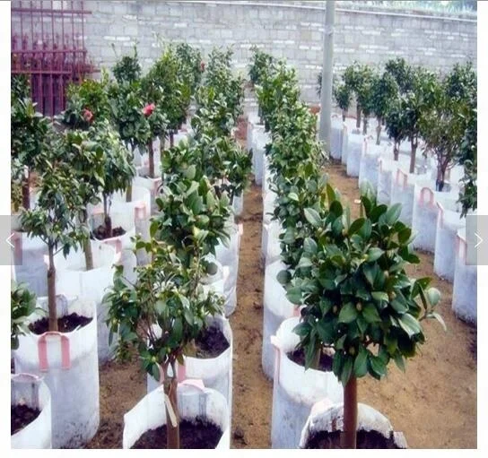 3 10 Gallon Gardening Grow Bags Non-woven Aeration Pots Container
