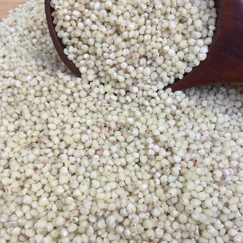 
Sweet Sorghum Seed for Sale 