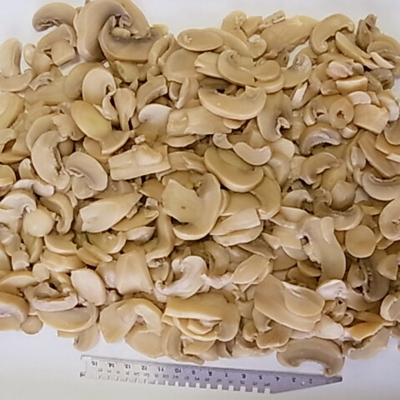Chinese new crop mushroom canned food