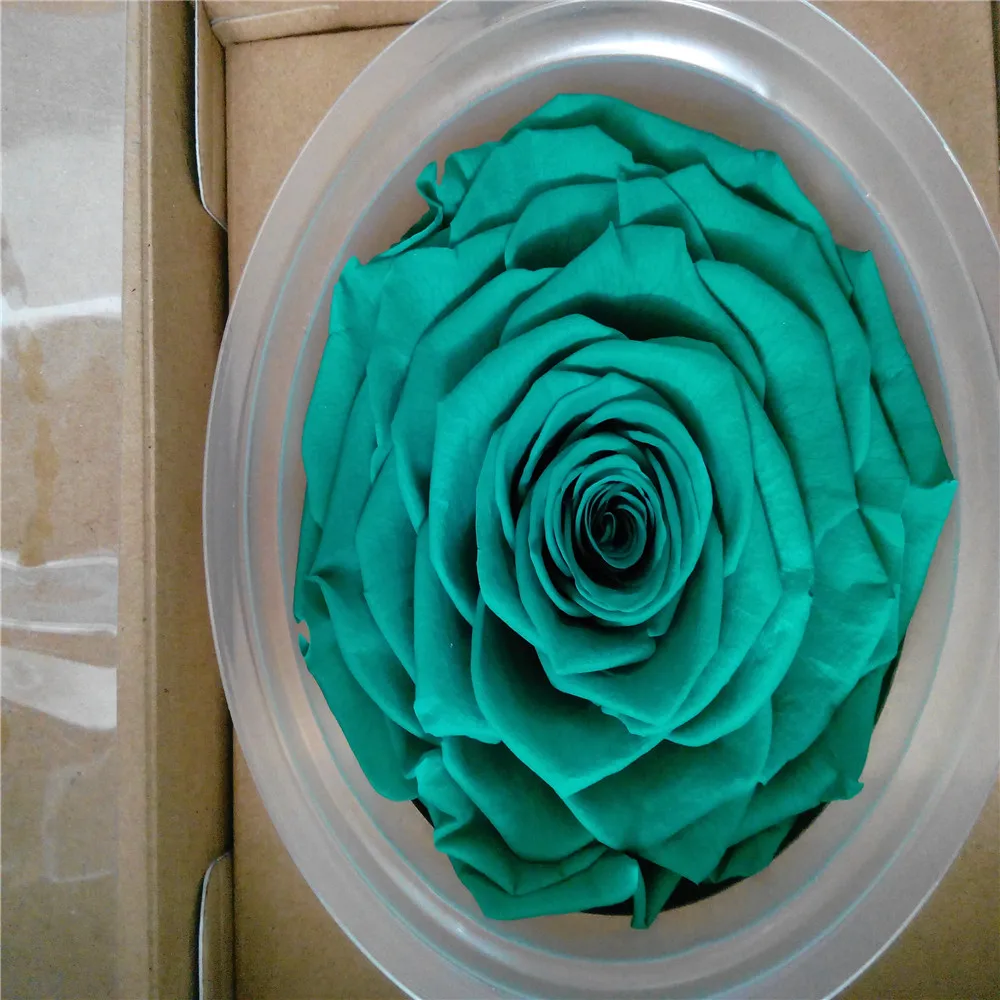 1 pcs/ box Big Rose Giant Flower Fresh Preserved Roses Wholesale
