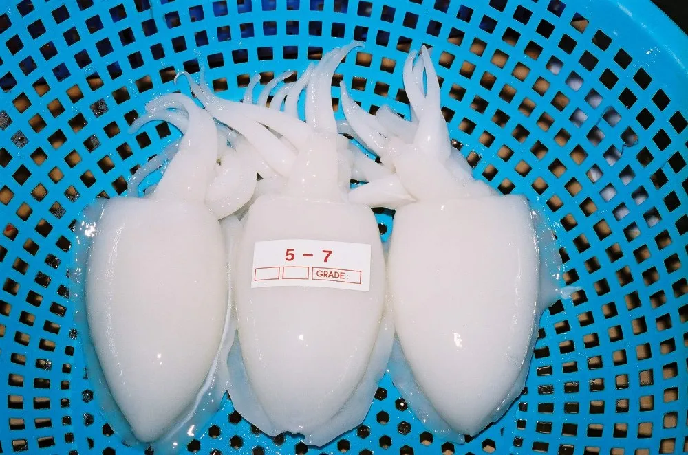  Замороженная детская морская рыба из Вьетнама