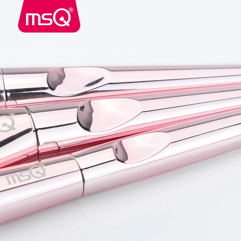 MSQ 10 Pieces Plastic Handle with Metal Plating and Rainbow Shiny Hand Case Makeup Brush Kit