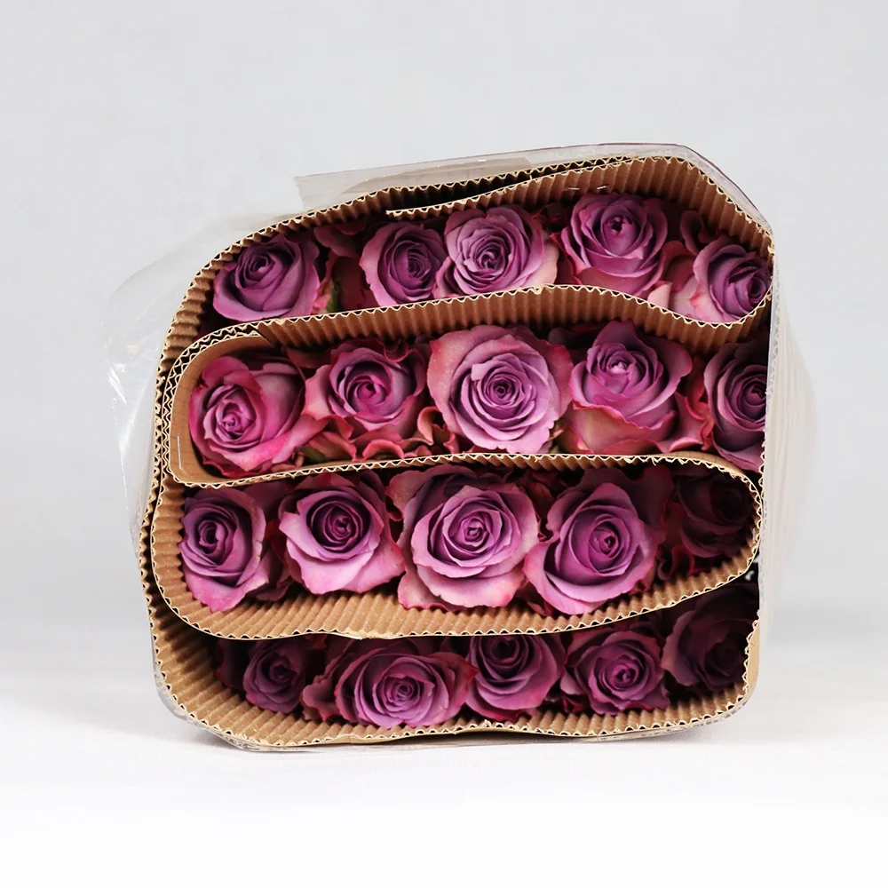 Professional Chinese Flower Supplier Various Color Fresh Cut Roses