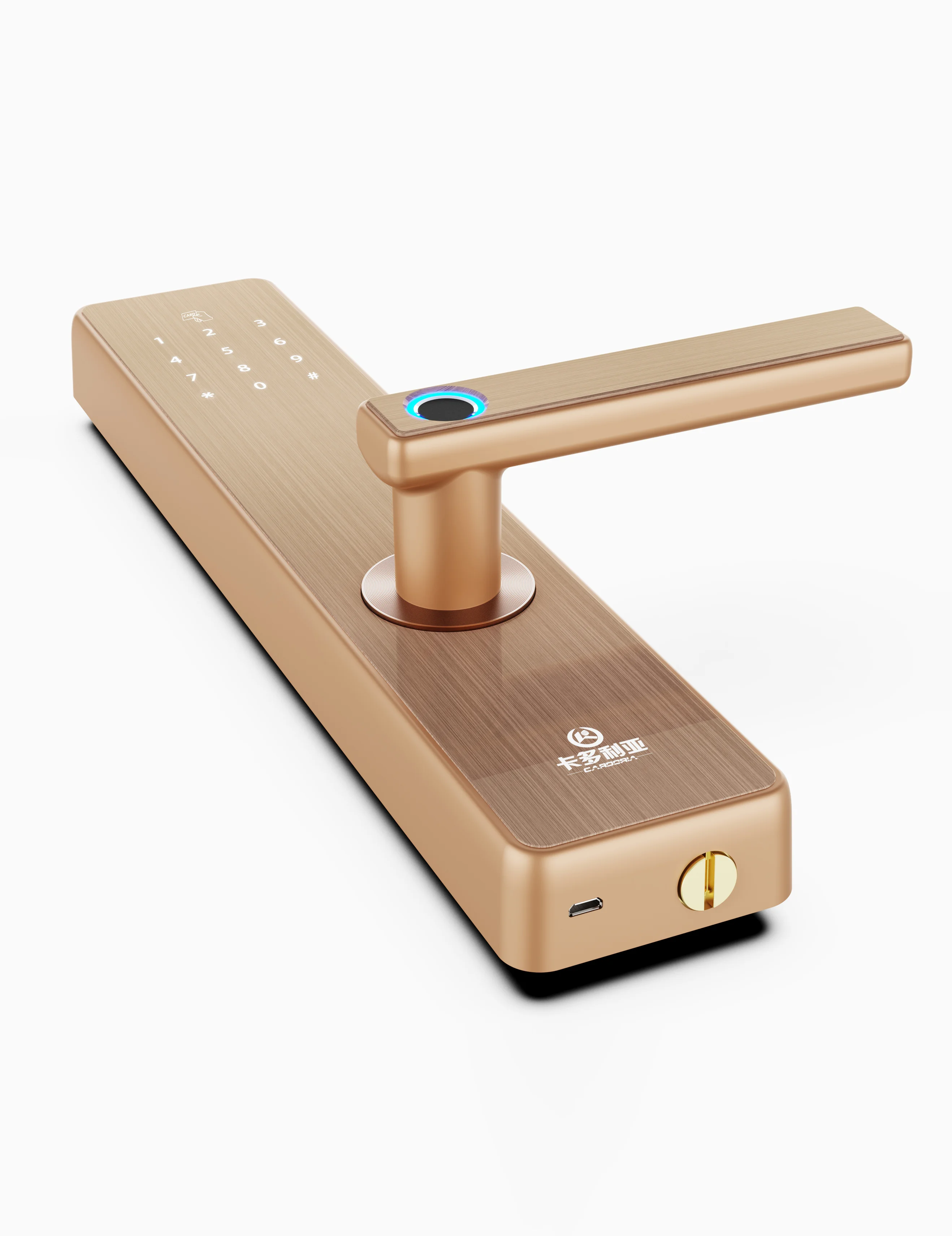 BT Wifi Smart Door Lock Electronic Digital Code RFID Card TTLock App Hotel Door Lock Security System