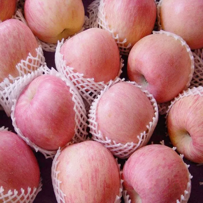 Свежие Яблоки yantai fuji