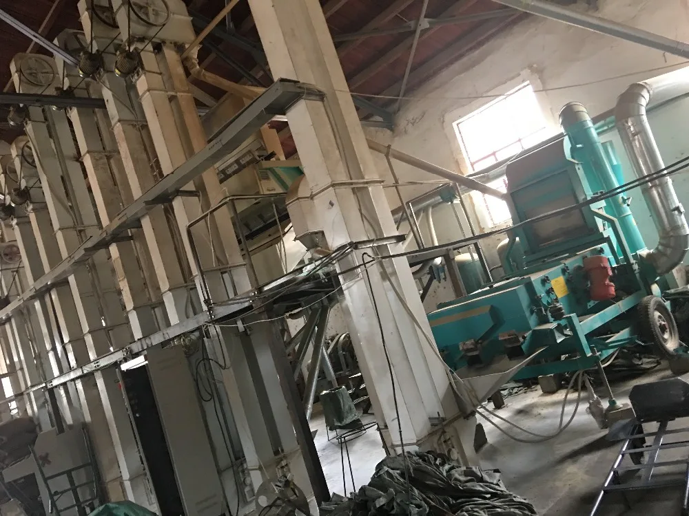 
Nature Green Coffee Bean - Arabica Grade-A 