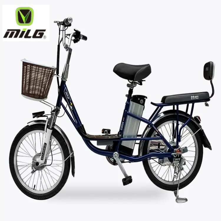 2019 Электрический Ebike 48 V 250 W Педаль Помощь велосипед 20 дюймов с портативной батареей