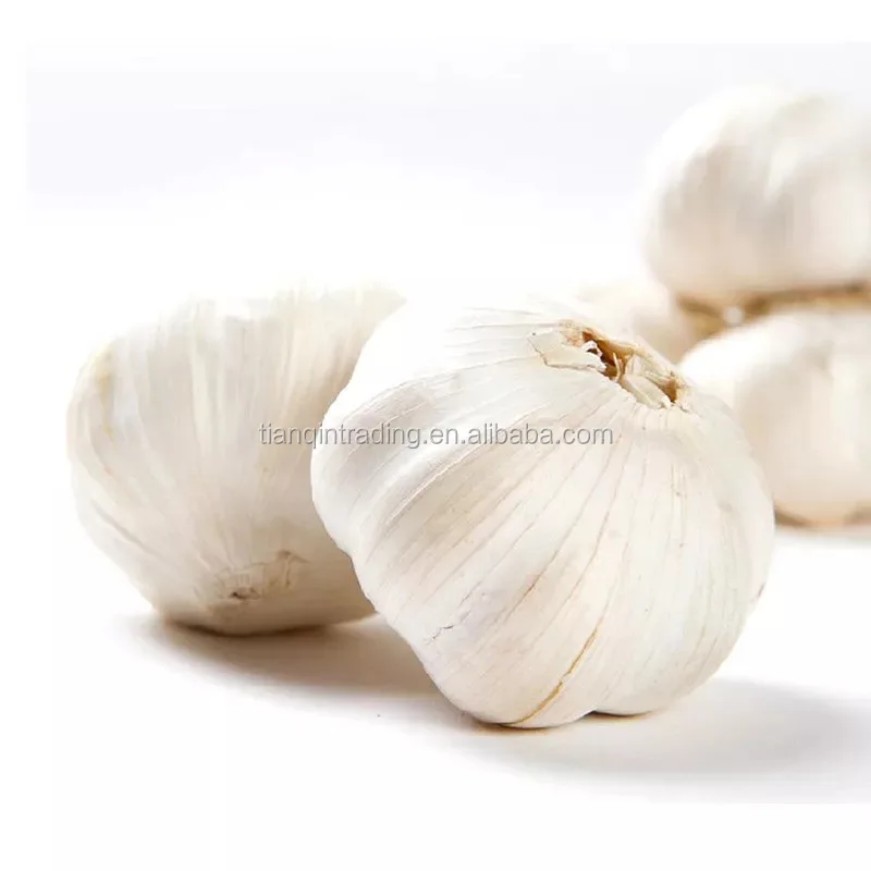 2020 new crop type buy china natural fresh garlic pure white garlic price